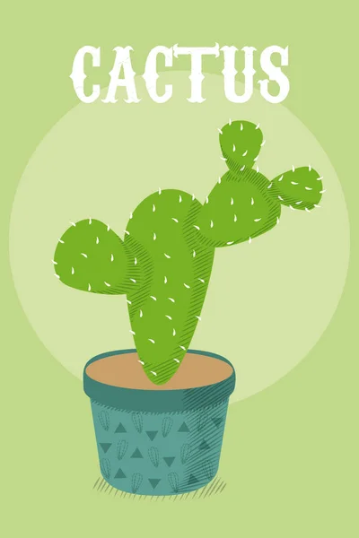 Planta Cactus Del Desierto Maceta Sobre Fondo Verde Vector Ilustración — Archivo Imágenes Vectoriales