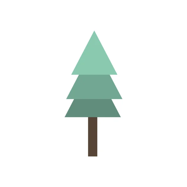 Geïsoleerde pine tree Algorithm — Stockvector