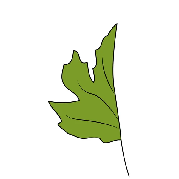 Diseño de hoja aislada — Vector de stock