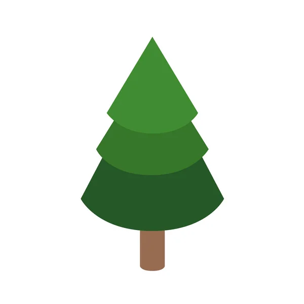 孤立した松の木の設計 — ストックベクタ