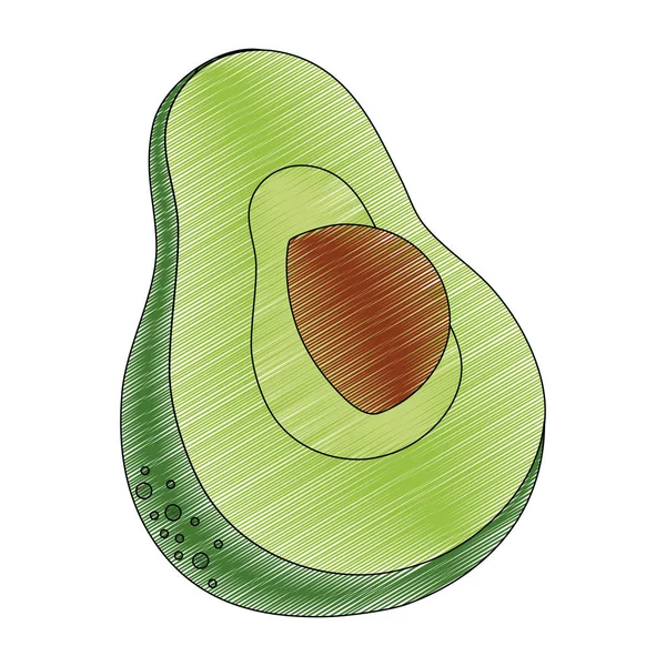 Isolato design avocado — Vettoriale Stock