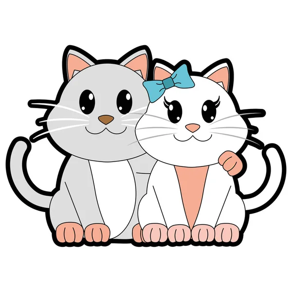Cor cheia casal gato bonito personagem animal —  Vetores de Stock