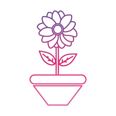 bozulmuş satır güzel çiçek yaprakları ve yaprakları plantpot içinde