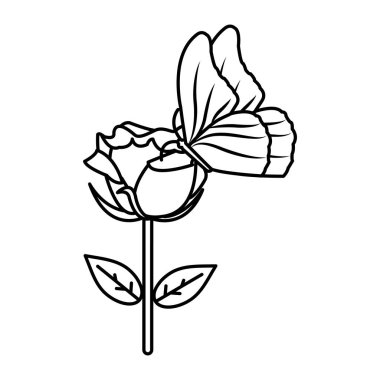 satır güzel gül yaprakları tasarım ve kelebek