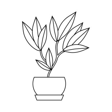 İzole bitki tasarımı