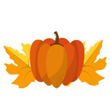 İzole kabak tasarım