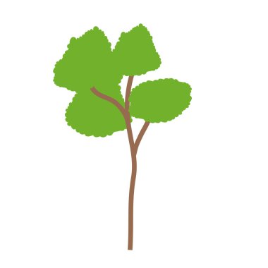 İzole ağacı tasarım