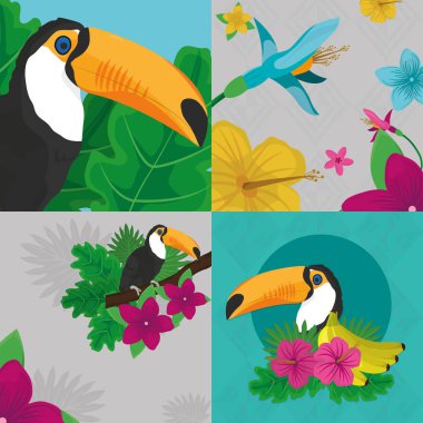 Tropic yaprakları çiçek ve toucan tasarım
