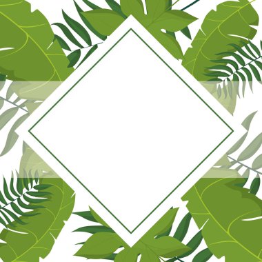 tropik yaprak çerçevesi