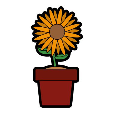 İzole ayçiçeği tasarım