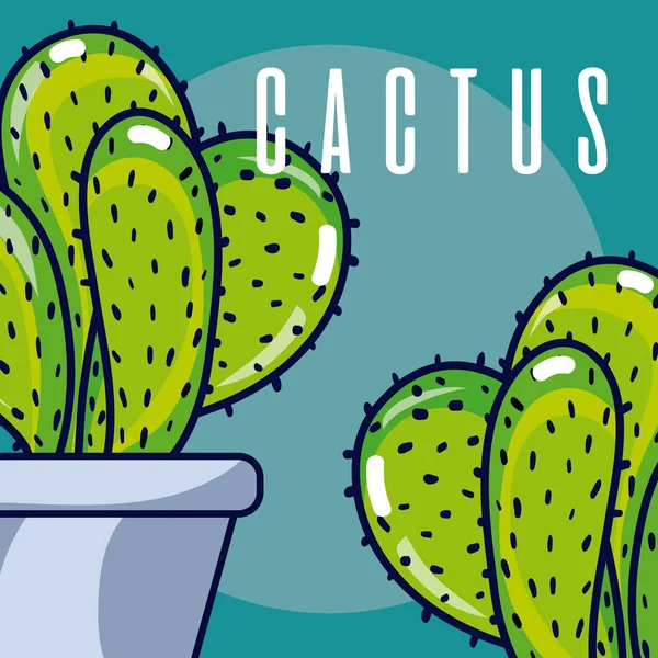 Uppsättning Cactus Krukor Söta Teckningar Vektor Illustration Grafisk Design — Stock vektor