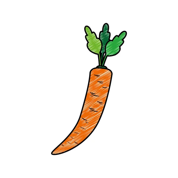 Морква Рослинної Здорової Органічної Їжі Тема Ізольований Дизайн Векторні Ілюстрації — стоковий вектор