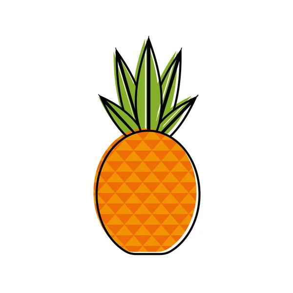 孤立的菠萝设计 — 图库矢量图片