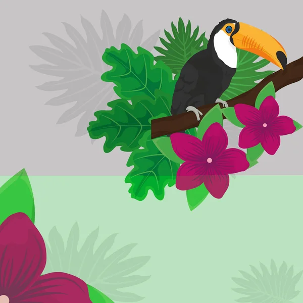 Tropic αφήνει λουλούδια και toucan σχεδιασμού — Διανυσματικό Αρχείο