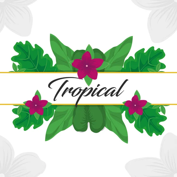 Diseño de hojas y flores tropicales — Vector de stock