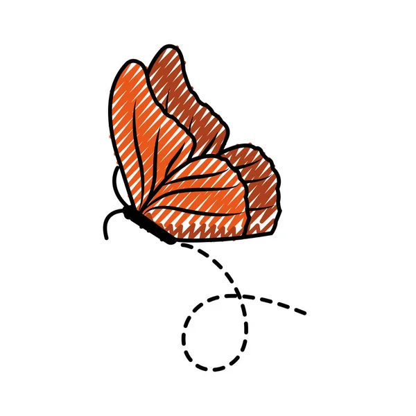 Rallado agradable mariposa insecto animal volando — Vector de stock