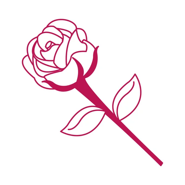 Conception de rose isolée — Image vectorielle