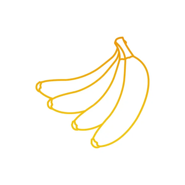 Banane Aus Obst Gesund Und Bio Lebensmittel Thema Isolierte Design — Stockvektor