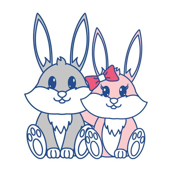 Line color rabbit couple cute animal together — Stock Vector
