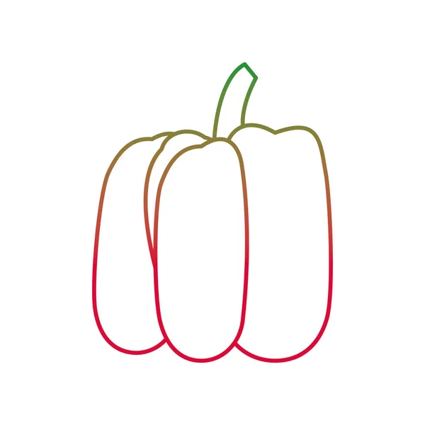 Перец Овощей Здоровой Органической Пищи Тема Изолированный Дизайн Векторная Иллюстрация — стоковый вектор