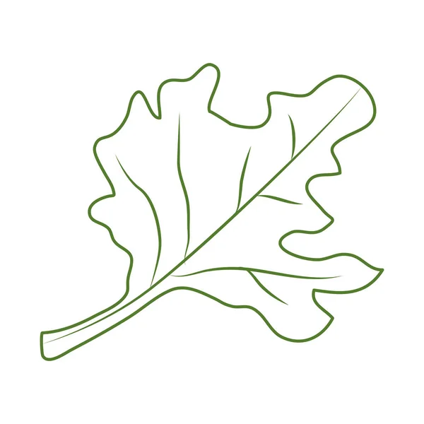 İzole yaprak tasarımı — Stok Vektör