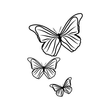 satır güzellik doğa butterflys hayvan uçan