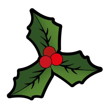 Noel çiçek tasarım