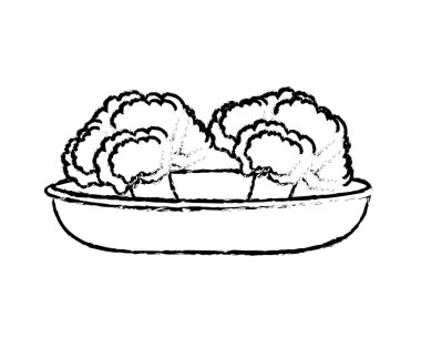 Brokoli sebze sağlıklı ve organik gıda Tema izole tasarım vektör çizim