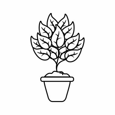 İzole bitki tasarımı