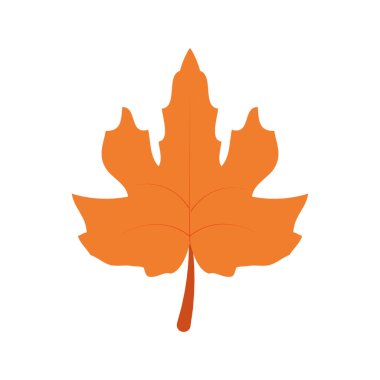 İzole yaprak tasarımı