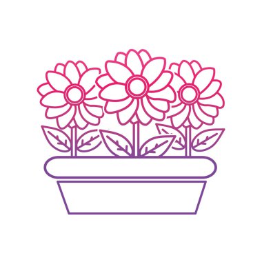 bozulmuş satır güzel çiçek yaprakları ve yaprakları plantpot içinde