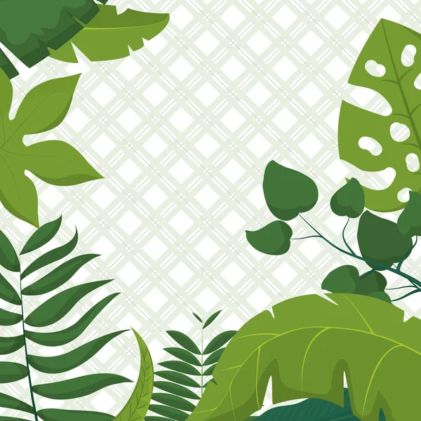 熱帯の葉のフレーム — ストックベクタ