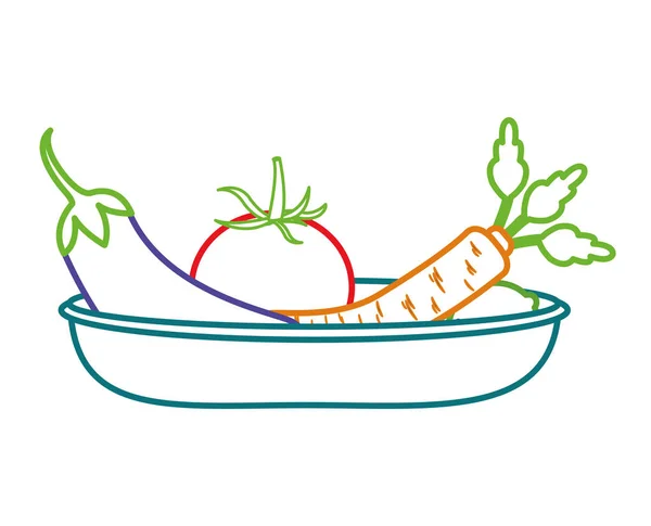 Diseño de verduras aisladas — Vector de stock