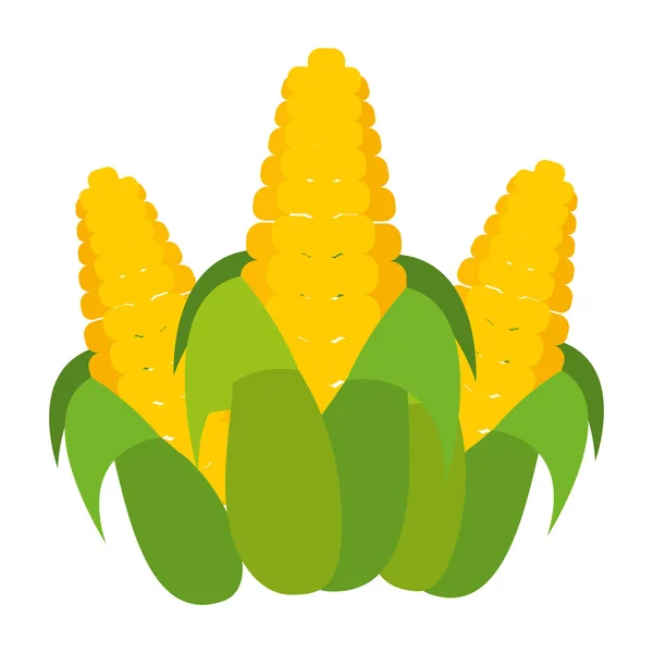 Isolated corn design — Stock Vector