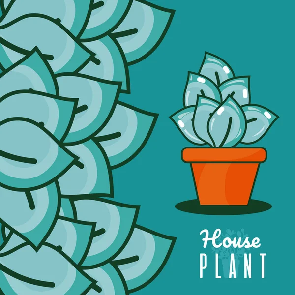 Sukkulente Pflanze Topf Über Blauem Hintergrund Vektor Illustration Grafik Design — Stockvektor