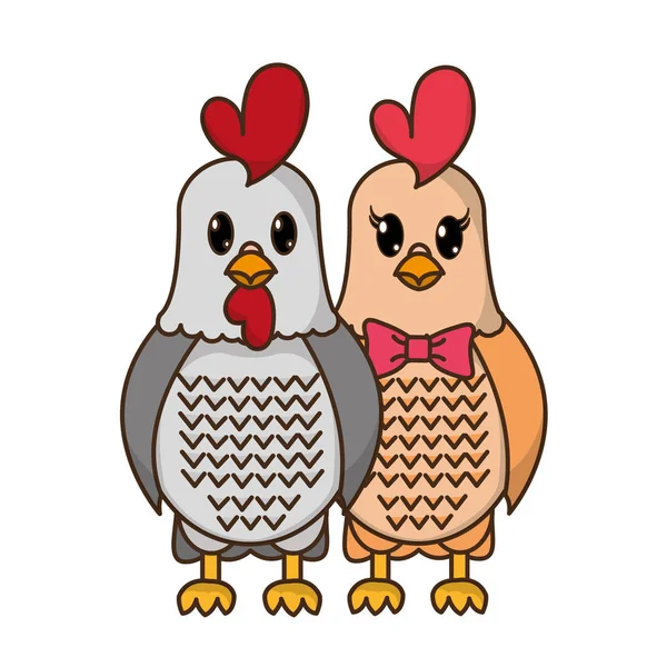 Galo e galinha casal bonito animal — Vetor de Stock