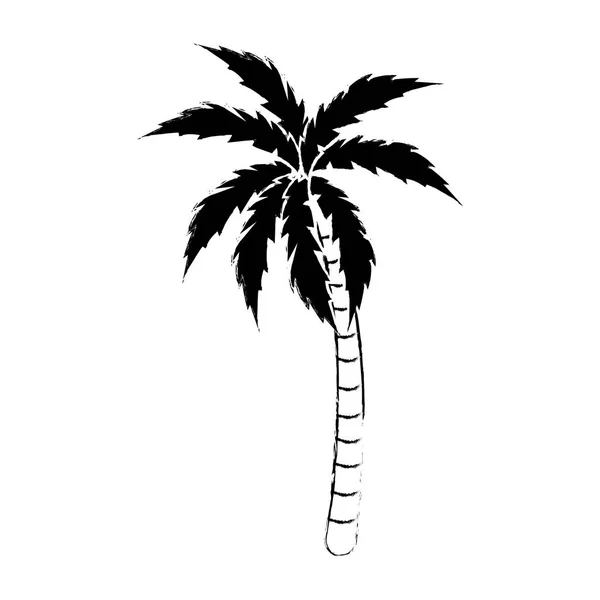Geïsoleerde palm tree Algorithm — Stockvector