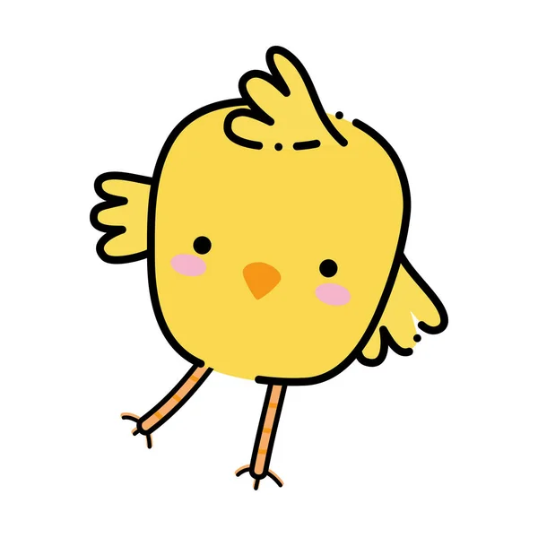 Color chick bird farm animal playing — Stock Vector
