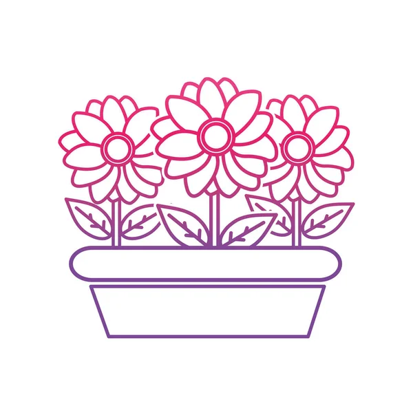 bozulmuş satır güzel çiçek yaprakları ve yaprakları plantpot içinde