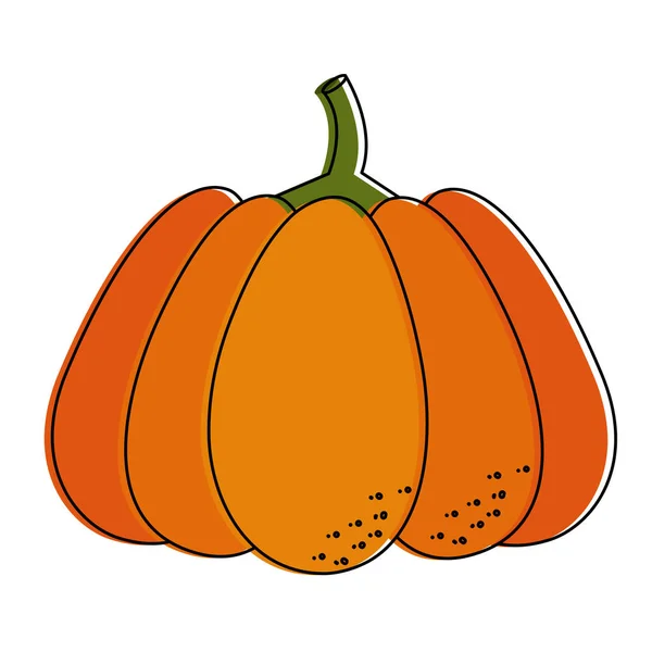 Isolated pumpkin design — Stock Vector