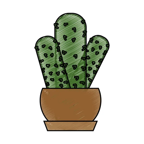 Diseño de cactus aislado — Vector de stock