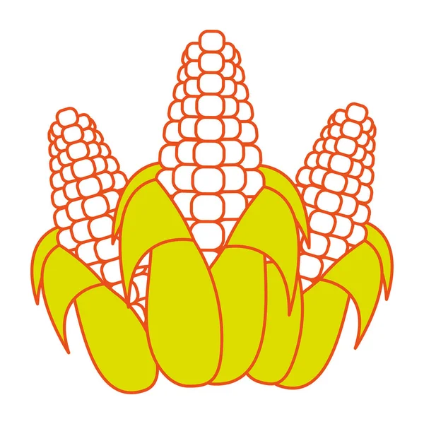 Conception isolée de maïs — Image vectorielle