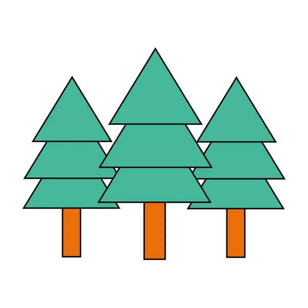 Geïsoleerde pine tree Algorithm — Stockvector