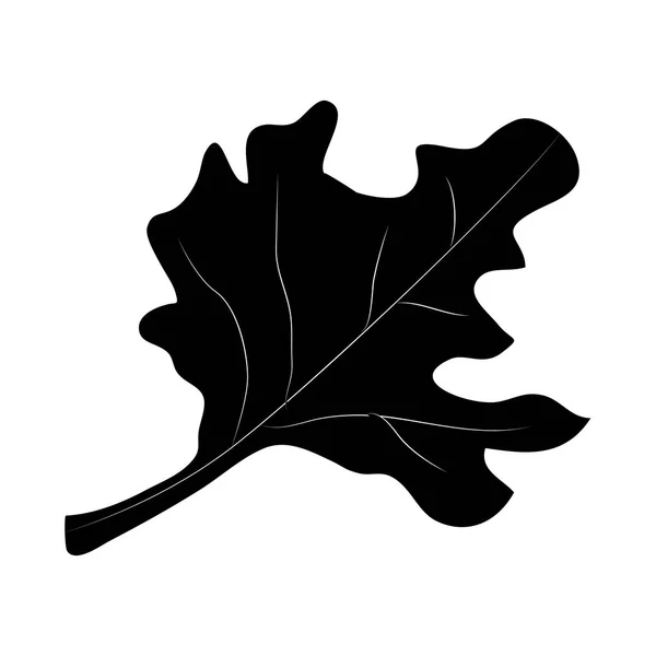 単離した葉デザイン — ストックベクタ