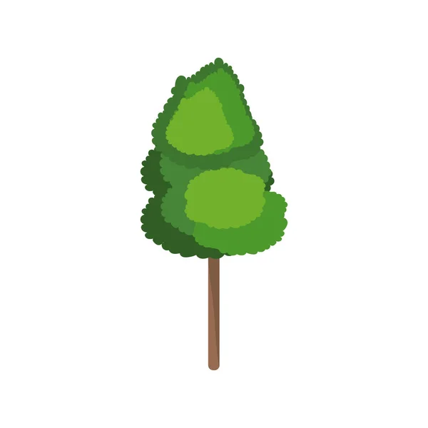 Izolované strom design — Stockový vektor