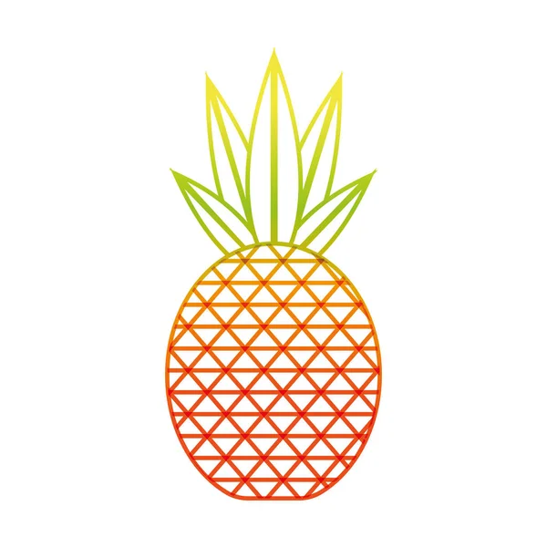 Diseño aislado de piña — Vector de stock