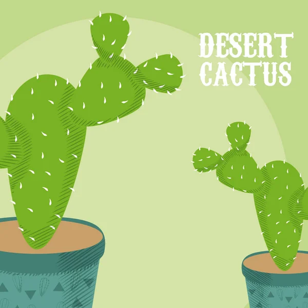 Plantas Cactus Del Desierto Macetas Sobre Fondo Verde Vector Ilustración — Archivo Imágenes Vectoriales