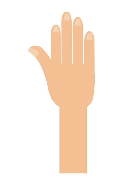 Human Hand Cartoon Vector Illustration Graphic Design — Stock Vector