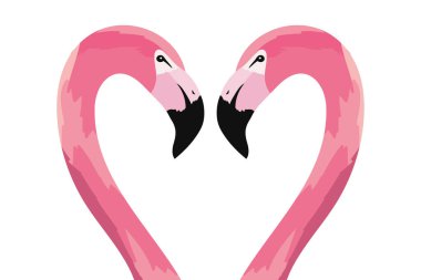 tropikal flamingolar çift çizgi film vektör çizim grafik tasarım