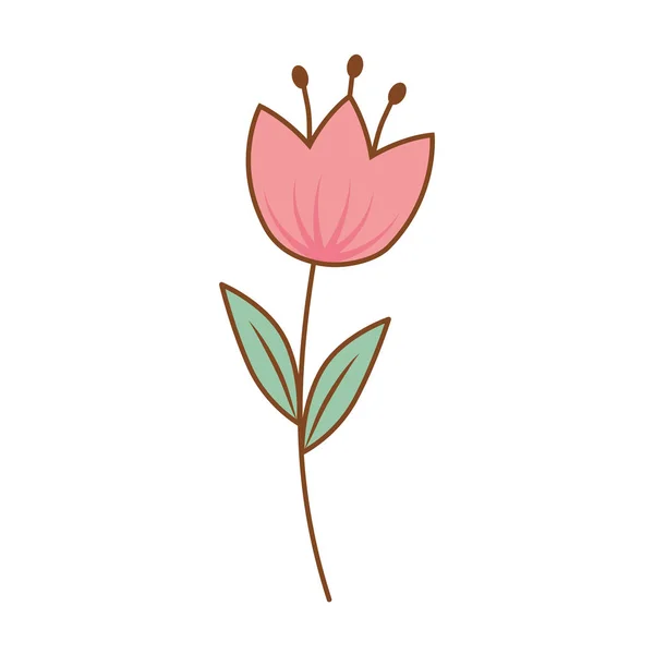 Schöne Blume Dekorative Ikone Vektor Illustration Design — Stockvektor
